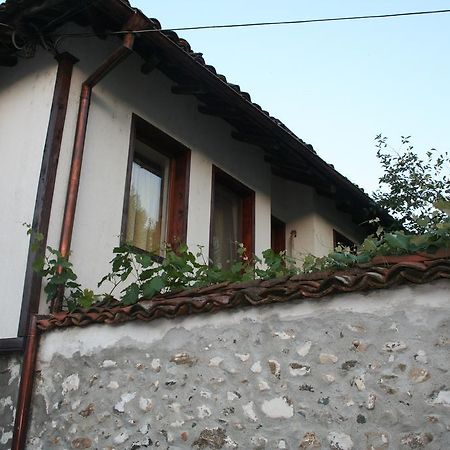 فندق Todorova House زلاتوغراد المظهر الخارجي الصورة