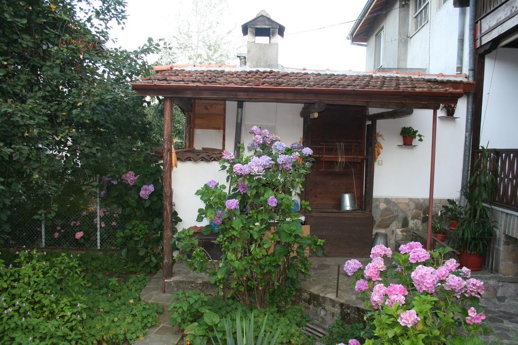 فندق Todorova House زلاتوغراد المظهر الخارجي الصورة