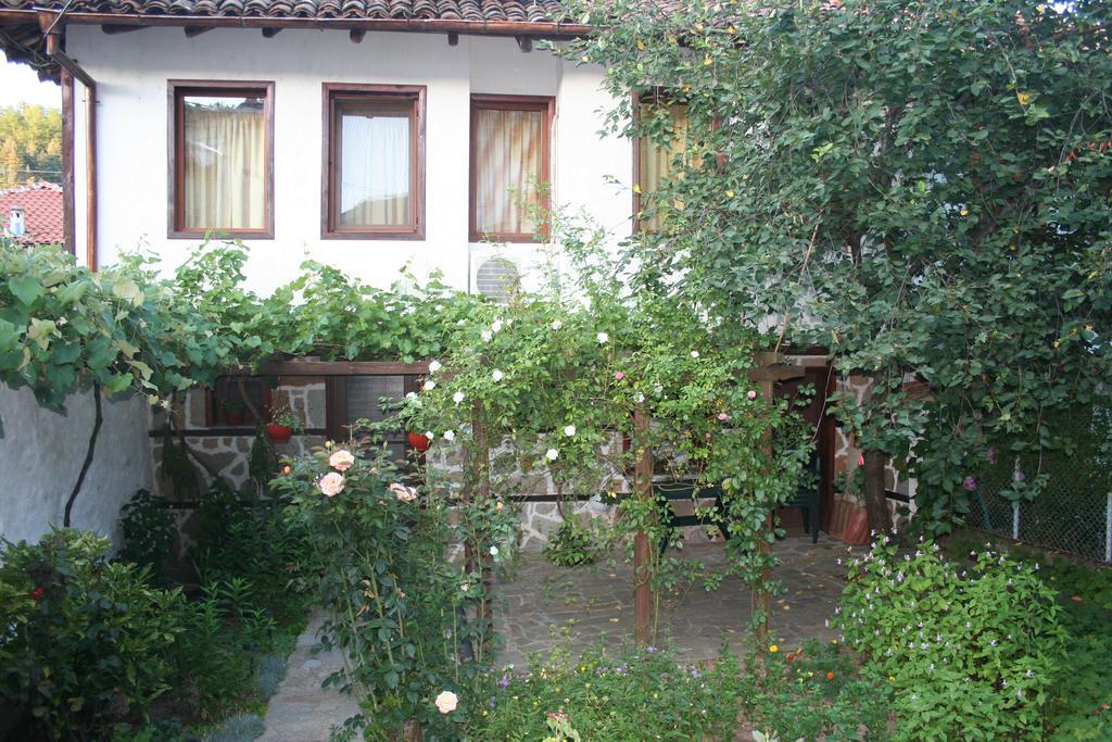 فندق Todorova House زلاتوغراد المظهر الخارجي الصورة